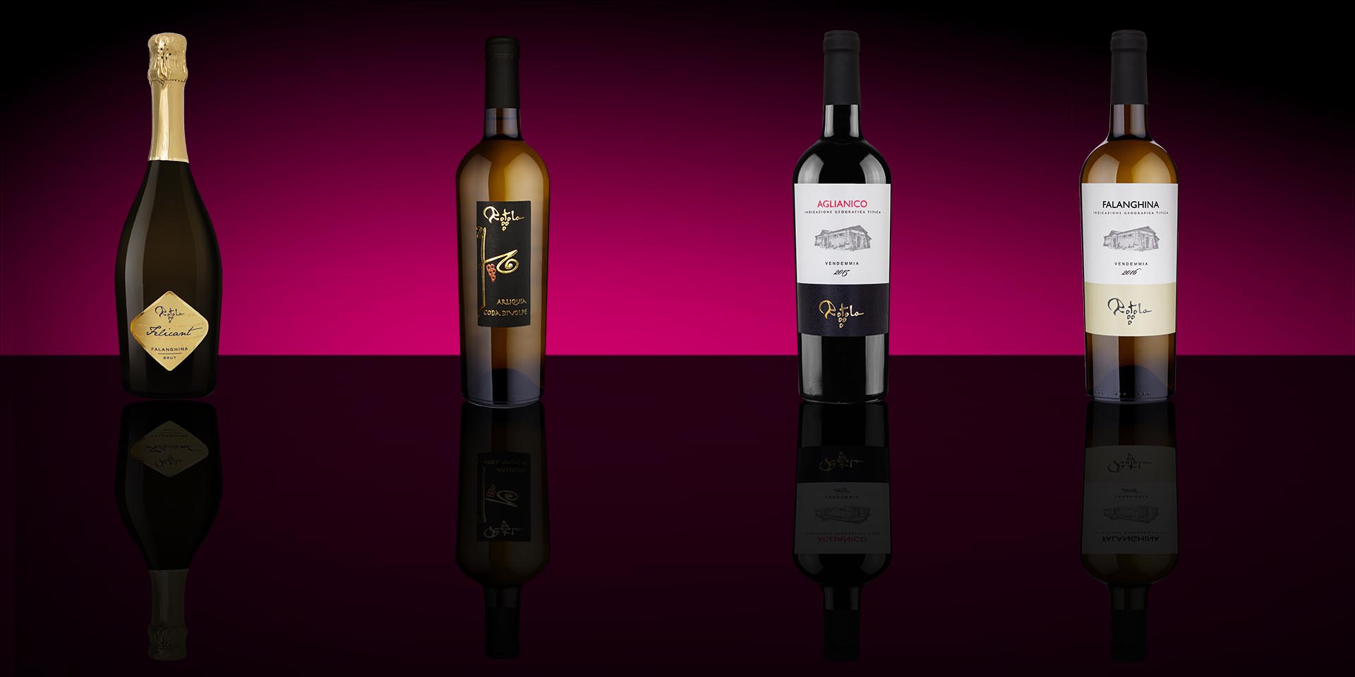 Aglianico, Coda di Volpe, Falanghina Brut, Felicant Fotografo a Benevento Fotografia still life vino bianco e rosso Michele Sabella visualedigitale